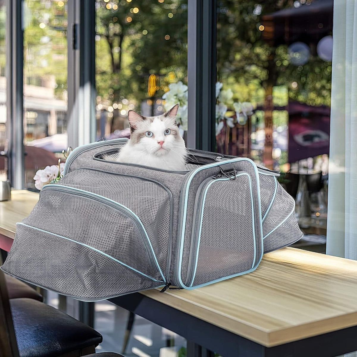 Airline Approved Dog & Cat Carrier – Soft Sided Pet Travel Carrier for Small Pets