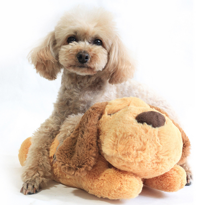 Snuggly Comfy Friend – Soft Plush Companion Toy for Dogs & Puppies