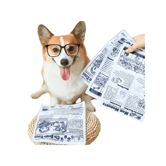 Tearproof Newspaper Squeaky Toy for Dogs | Durable & Fun Pet Chew Toy