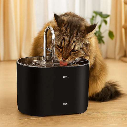 Cat Water Fountain with Filter – Quiet Automatic Cat Drinking Fountain