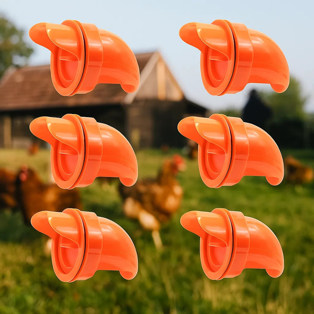 Automatic Chicken Feeder – Clean No-Waste Poultry Feeding System for Chickens & Hens