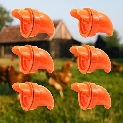 Automatic Chicken Feeder – Clean No-Waste Poultry Feeding System for Chickens & Hens
