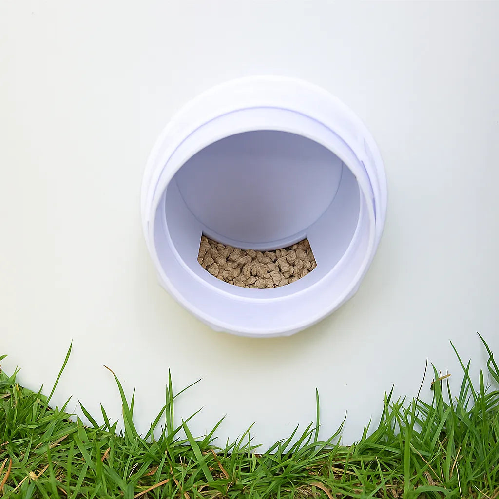 Automatic Chicken Feeder – Clean No-Waste Poultry Feeding System for Chickens & Hens