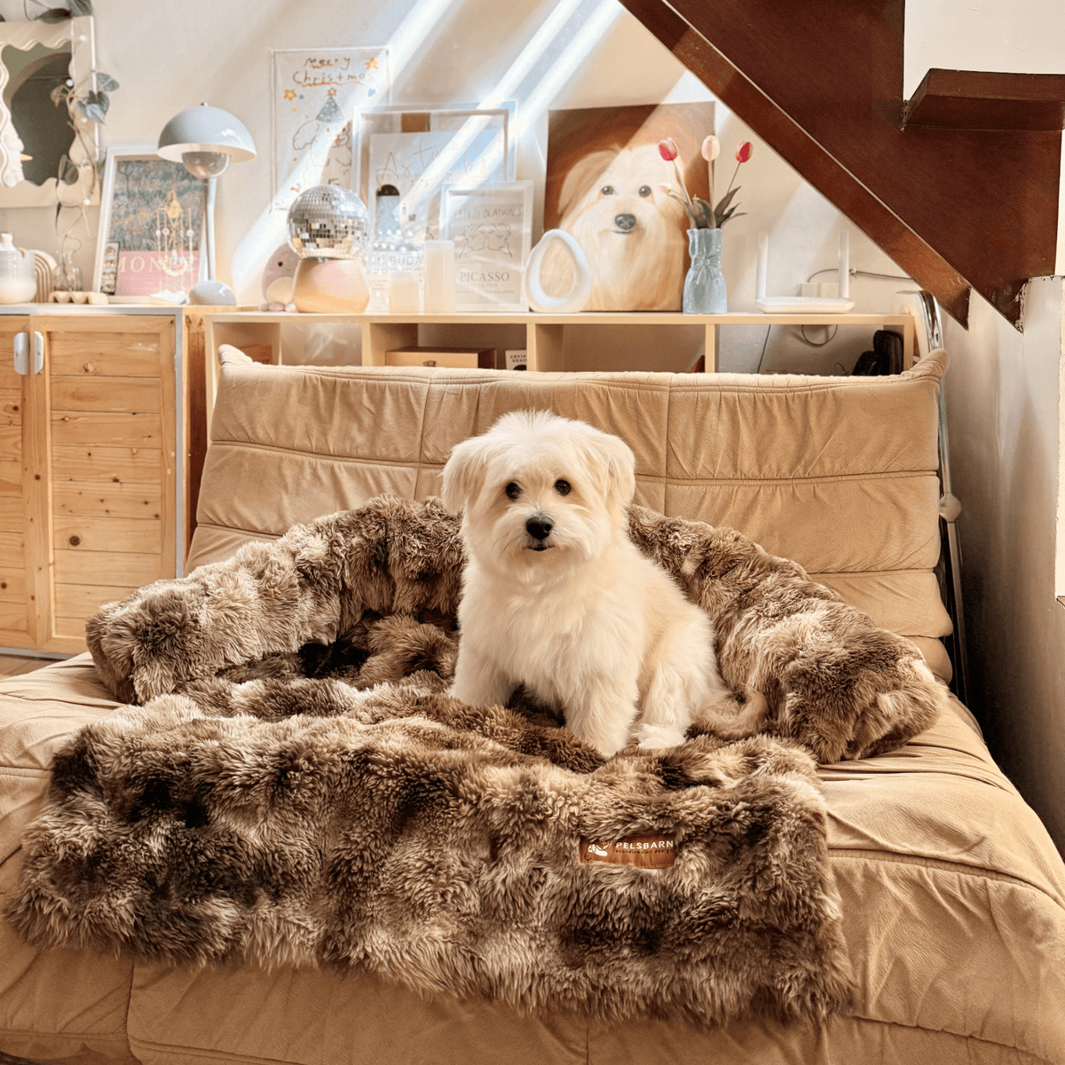 Cozy Pet Beds | Sofa Bed – Luxurious Comfort & Style