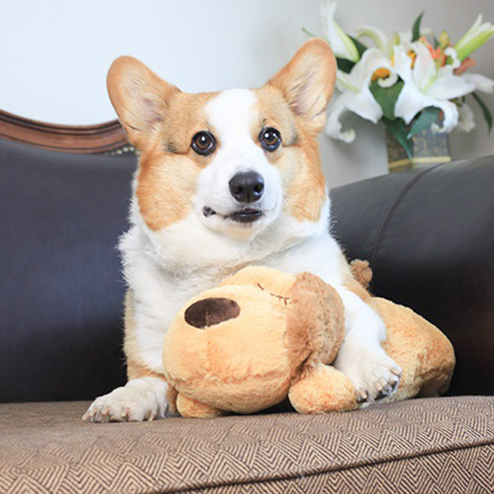 Snuggly Comfy Friend – Soft Plush Companion Toy for Dogs & Puppies