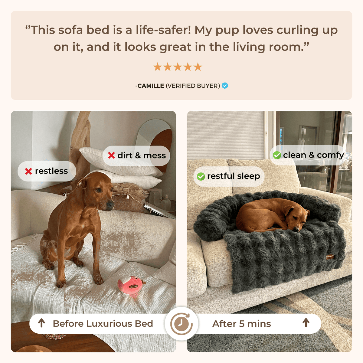 Cozy Pet Beds | Sofa Bed – Luxurious Comfort & Style