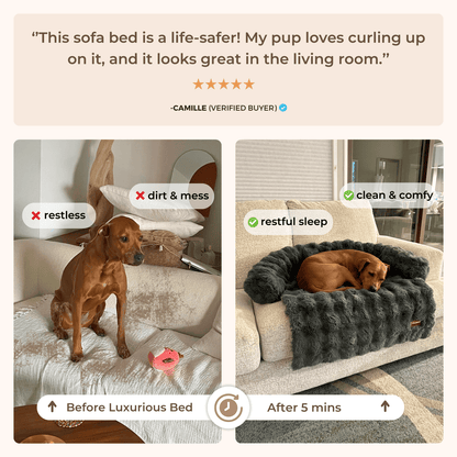 Cozy Pet Beds | Sofa Bed – Luxurious Comfort & Style
