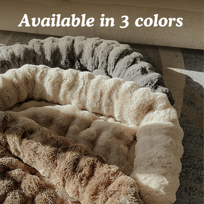 Cozy Pet Beds | Sofa Bed – Luxurious Comfort & Style