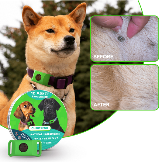 Natural Flea & Tick Dog Tag | Waterproof Pet Protection Collar