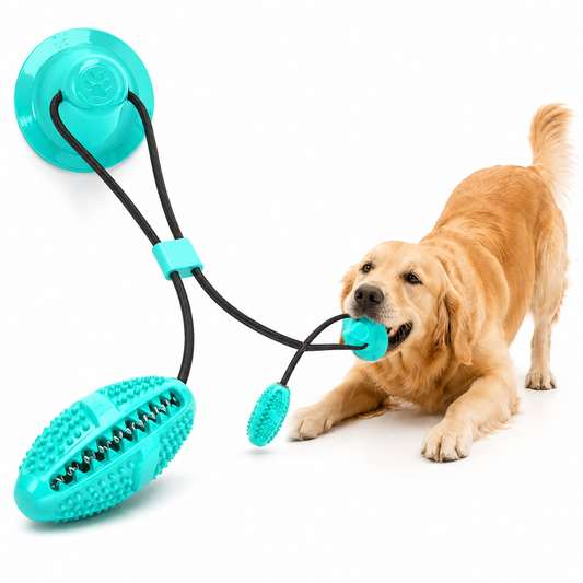 Molar Dog Pull Toy – Durable Tug & Chew Toy for Teeth Cleaning & Interactive Play