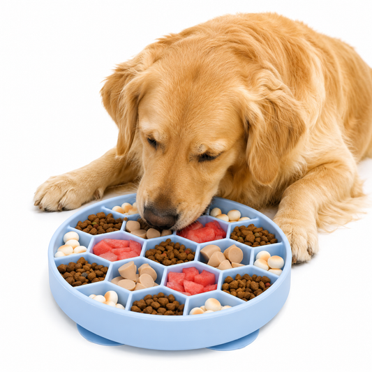 Silicone Slow Feeder Dog Bowl with Suction Base | Non-Slip Feeding Bowl