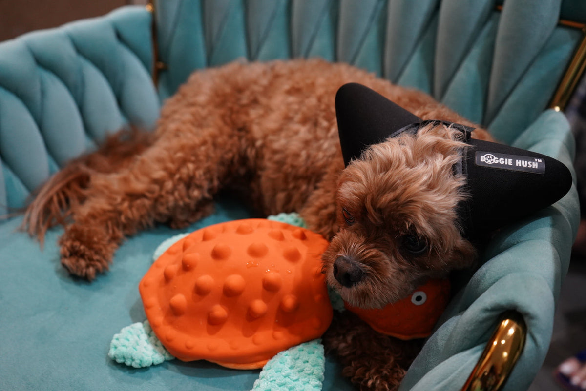 Interactive Turtle Snuffle Dog Toy | Squeaky Puzzle Toy with Hide-and-Seek Treat Pockets