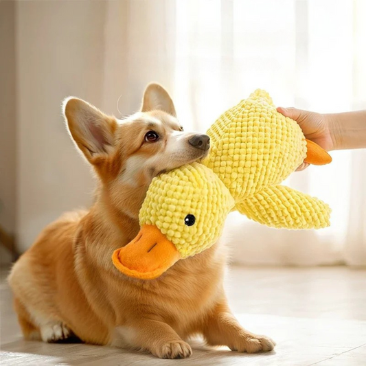 Plush Duck Dog Toy | Soft Squeaky Comfort Toy for Dogs
