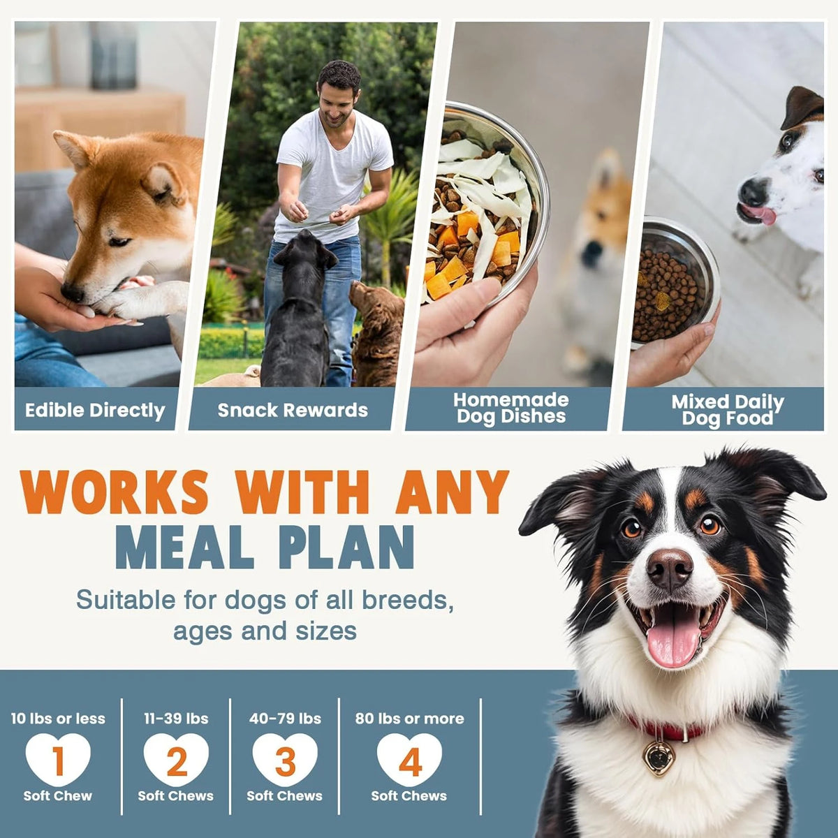 24-in-1 Dog Multivitamin Soft Chews – Omega-3, Probiotics & Joint Support