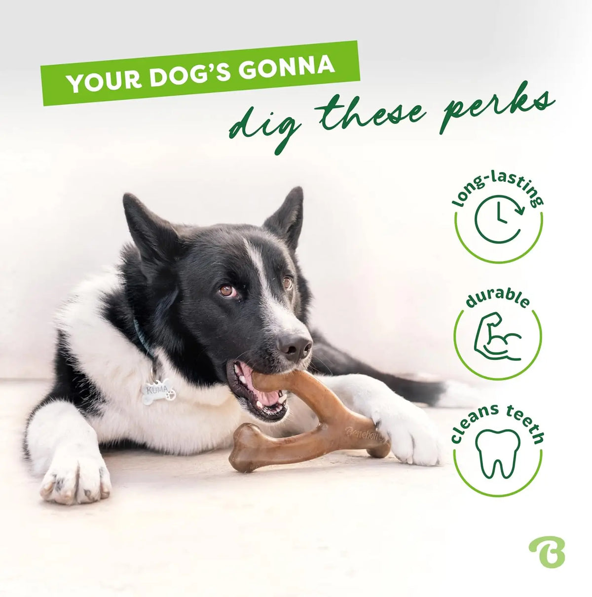 Bacon Flavored Wishbone Dog Chew Toy for Aggressive Chewers