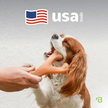 Bacon Flavored Wishbone Dog Chew Toy for Aggressive Chewers