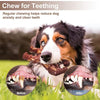 Squeaky Gorilla Healthy Chew Dog Toy – For Heavy Chewers