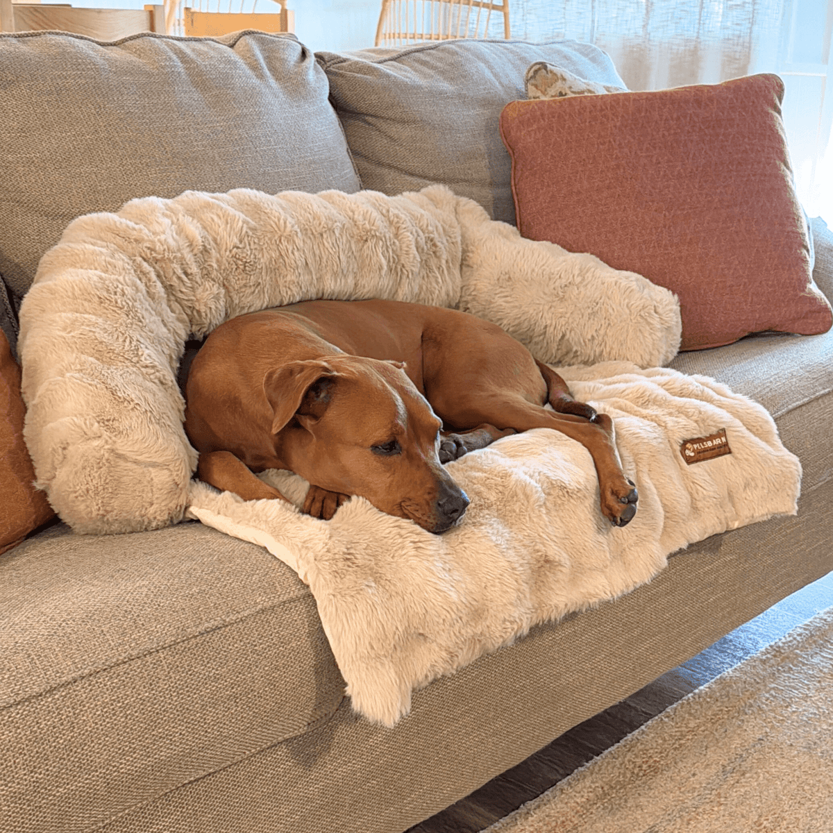 Cozy Pet Beds | Sofa Bed – Luxurious Comfort & Style