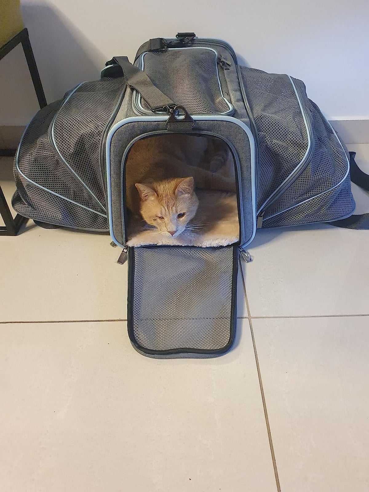 Airline Approved Dog & Cat Carrier – Soft Sided Pet Travel Carrier for Small Pets