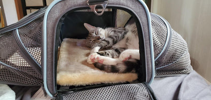 Airline Approved Dog & Cat Carrier – Soft Sided Pet Travel Carrier for Small Pets