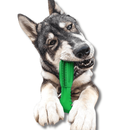 Dog Chew Toy for Aggressive Chewers – Durable Molar Teething & Dental Toy