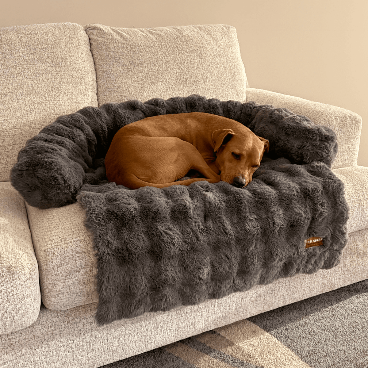 Cozy Pet Beds | Sofa Bed – Luxurious Comfort & Style