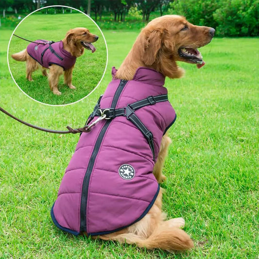 Waterproof Dog Jacket – Keep Your Pup Warm & Dry This Aussie Winter