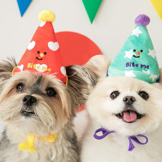 3-in-1 Interactive Celebration Kit | Fun Pet Birthday Hat & Play Toys